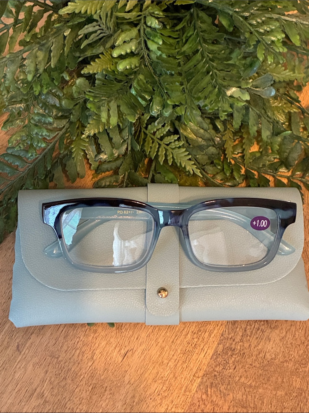 New Blue Reading Glasses with Case - +1.00